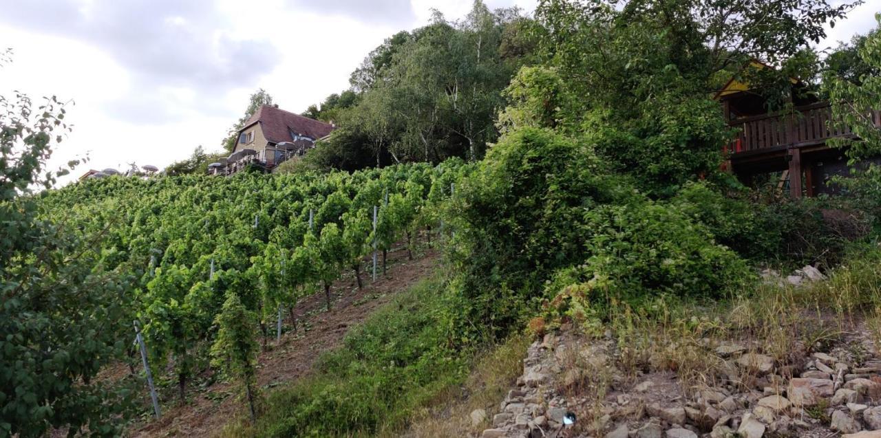 Am Hollergraben Apartment Oberschwarzach